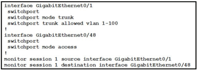 300-115 dumps